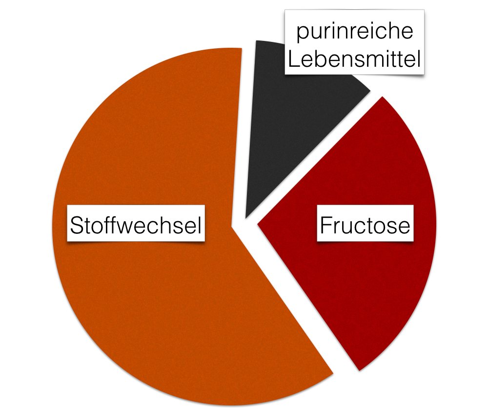 Gicht-Fructose