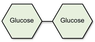 Maltose 200px