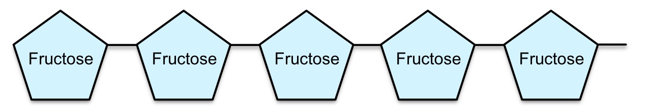 Oligofructose FODMAP