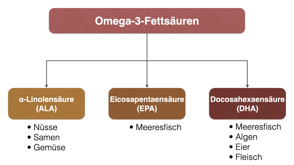 unterteilung-omega-3-fettsaeuren