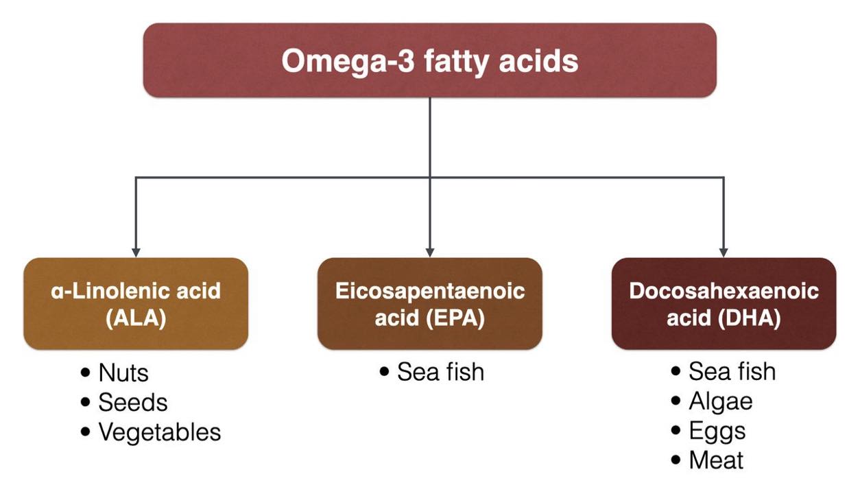 Good fats bad fats?
