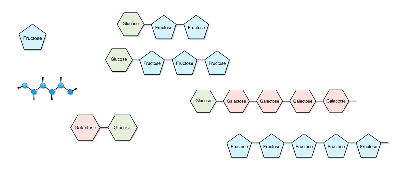 Fructose, lactose, sorbitol and oligosaccharides belong to the group of FODMAPs.