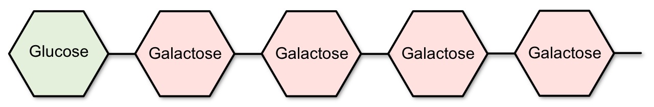 Galacto-Oligosaccharides  GOS FODMAP