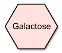 Galactose