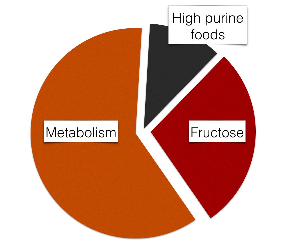 Gout-fructose