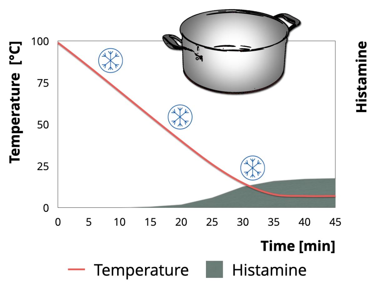 Formation histamine time temperature