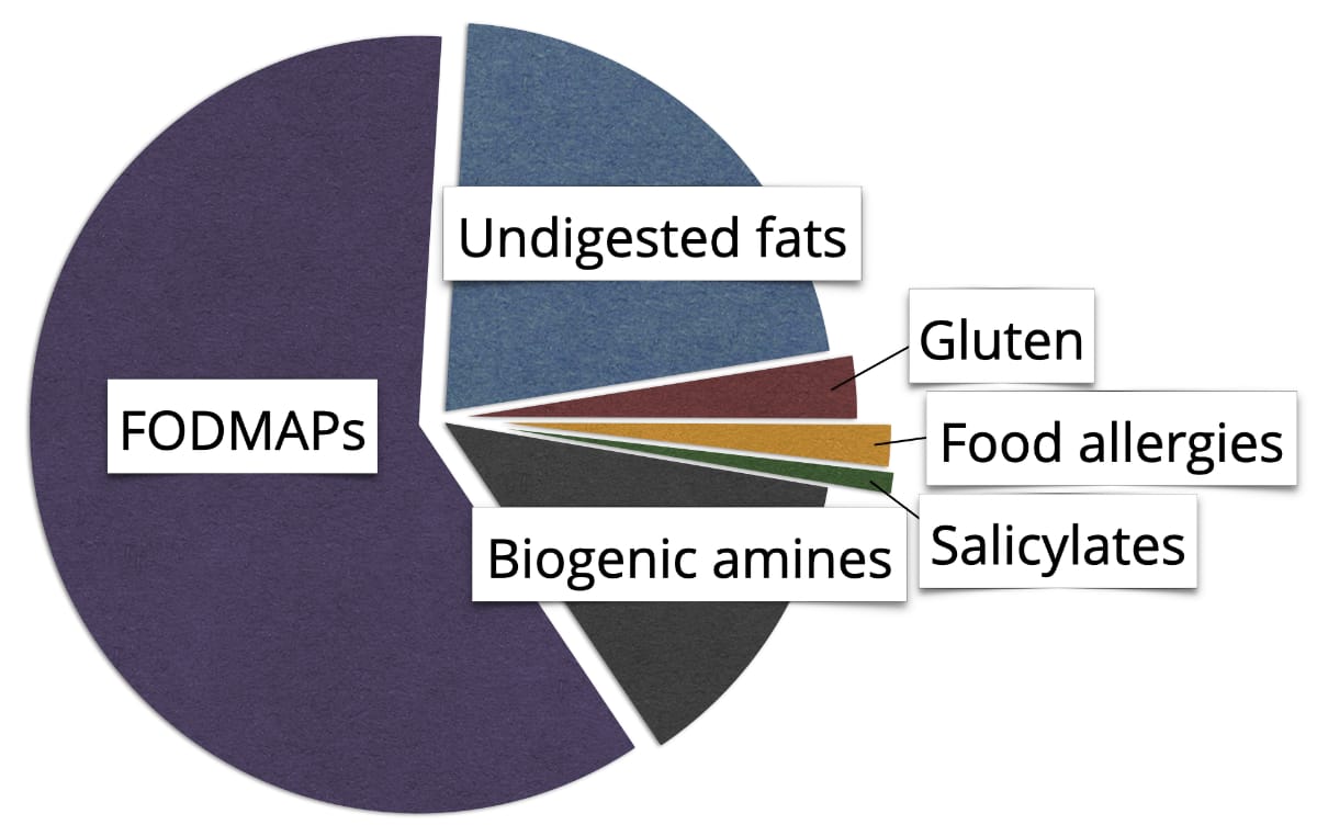 ibs causes biogenic amines fodmaps salicylates