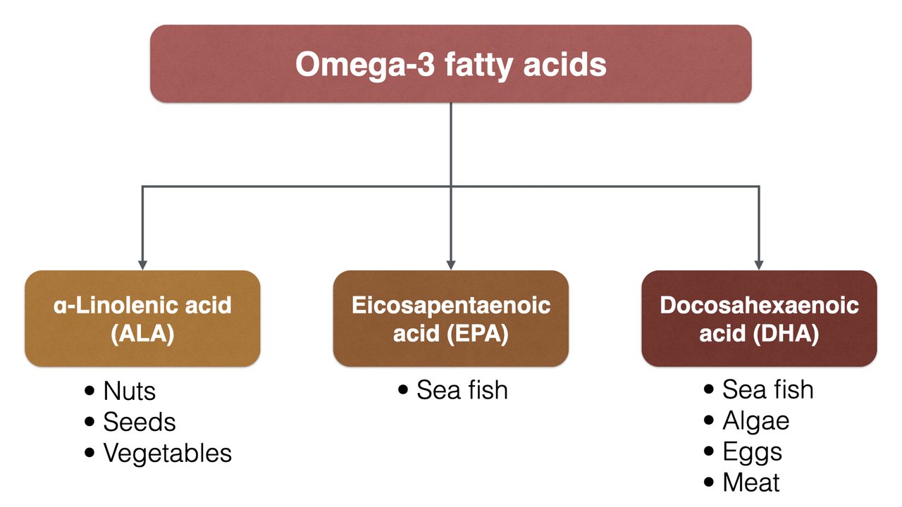 Main dietary sources of omega-3