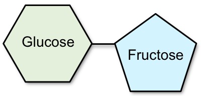 Saccharose